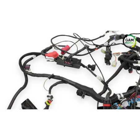 Faisceau electrique INDIAN SPRINGFIELD 1811 2016 - 2021