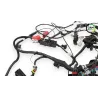 Faisceau electrique INDIAN SPRINGFIELD 1811 2016 - 2021