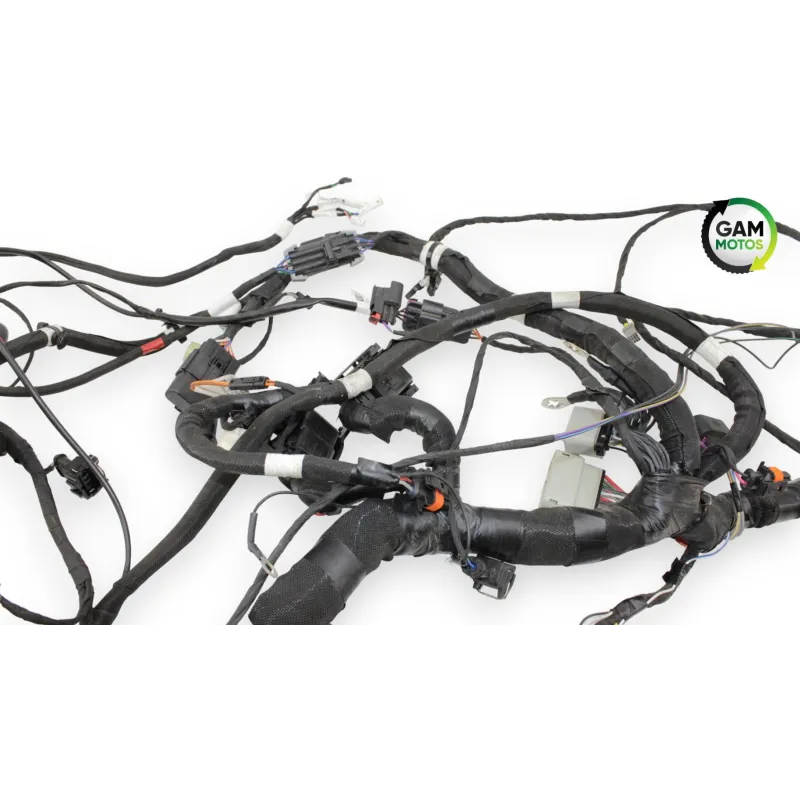 Faisceau electrique INDIAN SPRINGFIELD 1811 2016 - 2021