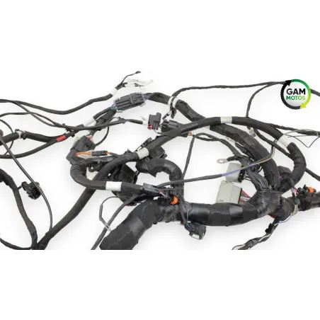 Faisceau electrique INDIAN SPRINGFIELD 1811 2016 - 2021