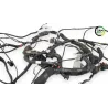 Faisceau electrique INDIAN SPRINGFIELD 1811 2016 - 2021