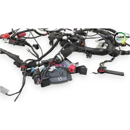 Faisceau electrique INDIAN SPRINGFIELD 1811 2016 - 2021