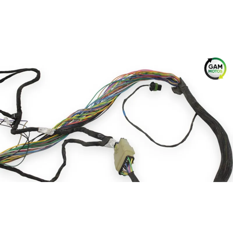 Faisceau electrique INDIAN SPRINGFIELD 1811 2016 - 2021