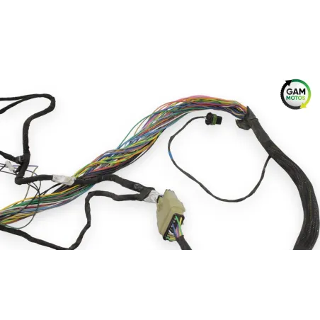 Faisceau electrique INDIAN SPRINGFIELD 1811 2016 - 2021