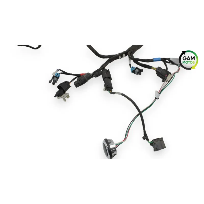 Faisceau electrique INDIAN SPRINGFIELD 1811 2016 - 2021