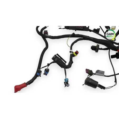 Faisceau electrique INDIAN SPRINGFIELD 1811 2016 - 2021