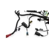 Faisceau electrique INDIAN SPRINGFIELD 1811 2016 - 2021