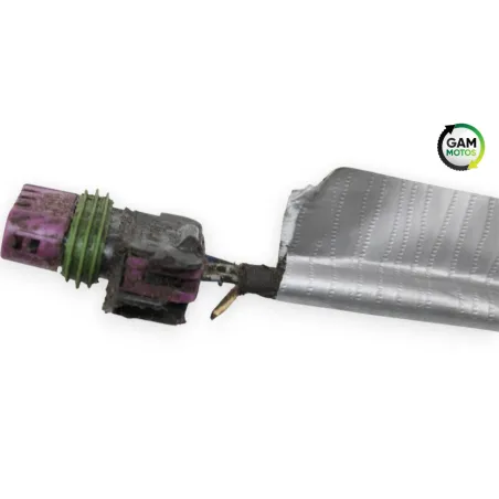 Faisceau electrique INDIAN SPRINGFIELD 1811 2016 - 2021