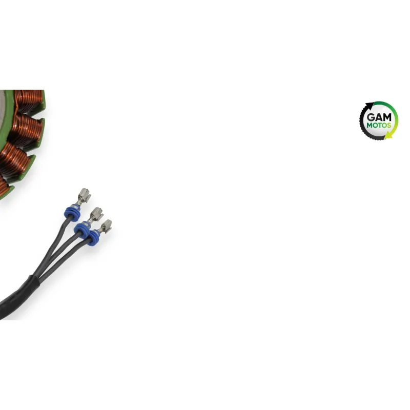 Stator alternateur INDIAN SPRINGFIELD 1811 2016 - 2021