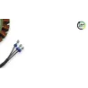 Stator alternateur INDIAN SPRINGFIELD 1811 2016 - 2021