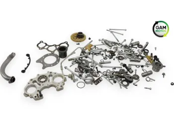 Kit visserie INDIAN SPRINGFIELD 1811 2016 - 2021
