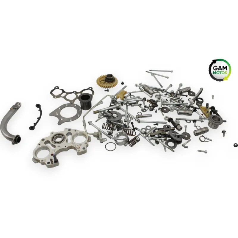 Kit visserie INDIAN SPRINGFIELD 1811 2016 - 2021