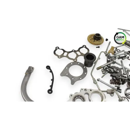 Kit visserie INDIAN SPRINGFIELD 1811 2016 - 2021