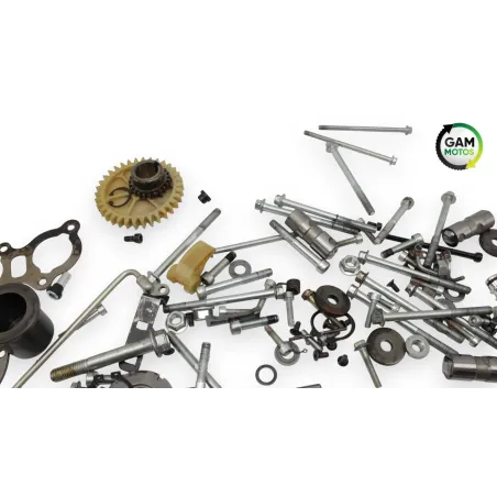 Kit visserie INDIAN SPRINGFIELD 1811 2016 - 2021