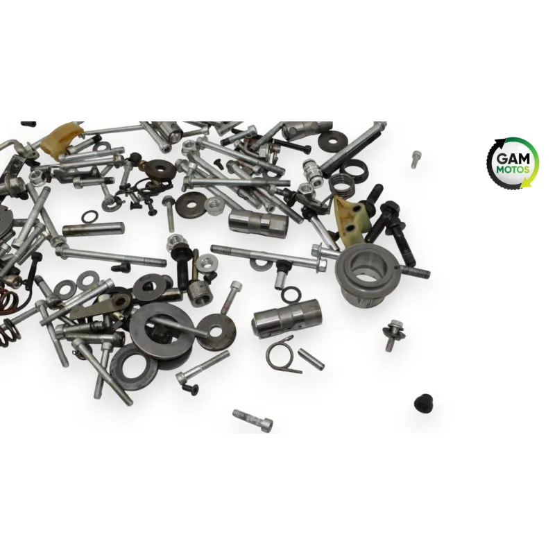 Kit visserie INDIAN SPRINGFIELD 1811 2016 - 2021