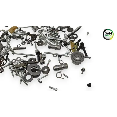 Kit visserie INDIAN SPRINGFIELD 1811 2016 - 2021