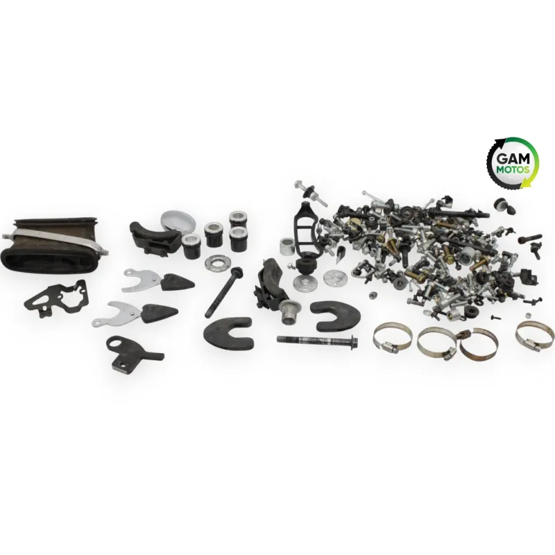 Kit visserie INDIAN SPRINGFIELD 1811 2016 - 2021