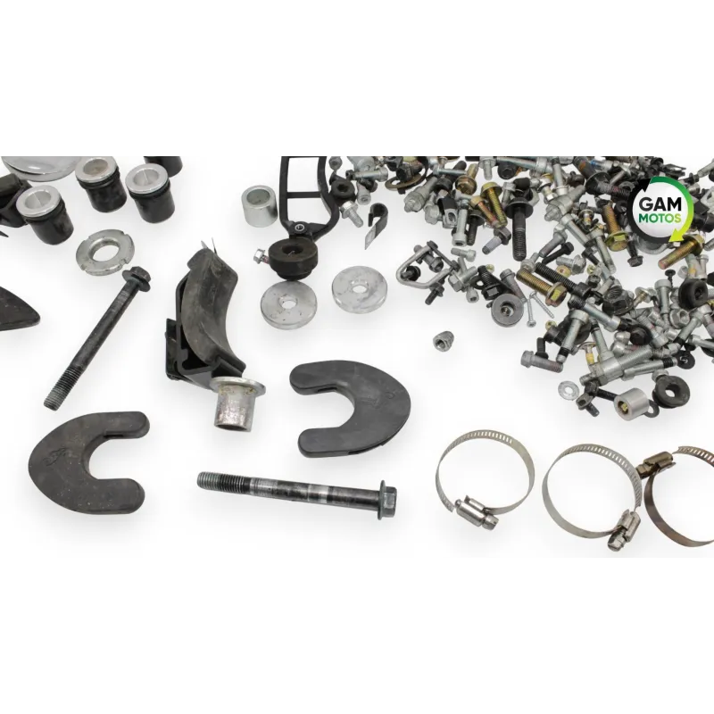 Kit visserie INDIAN SPRINGFIELD 1811 2016 - 2021