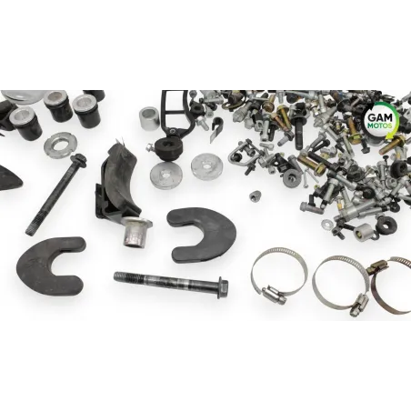Kit visserie INDIAN SPRINGFIELD 1811 2016 - 2021