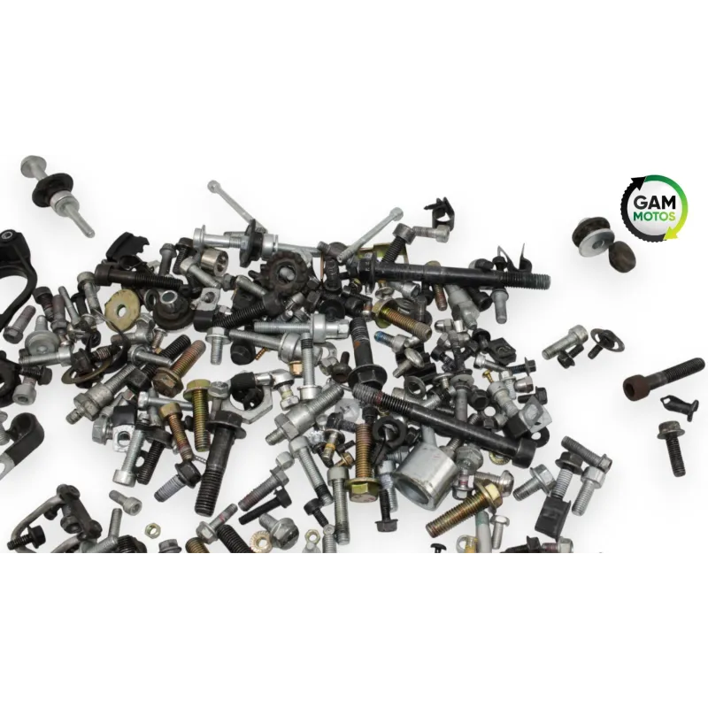 Kit visserie INDIAN SPRINGFIELD 1811 2016 - 2021