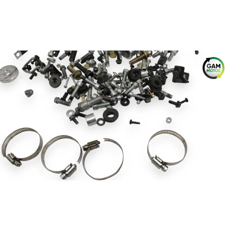 Kit visserie INDIAN SPRINGFIELD 1811 2016 - 2021