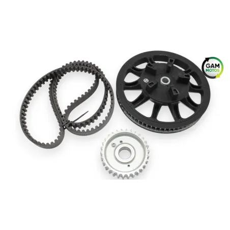Kit chaine occasion INDIAN SPRINGFIELD 1811 2016 - 2021