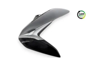 Ecope radiateur gauche MV AGUSTA DRAGSTER 800 RR AMERICA 2019 - 2019