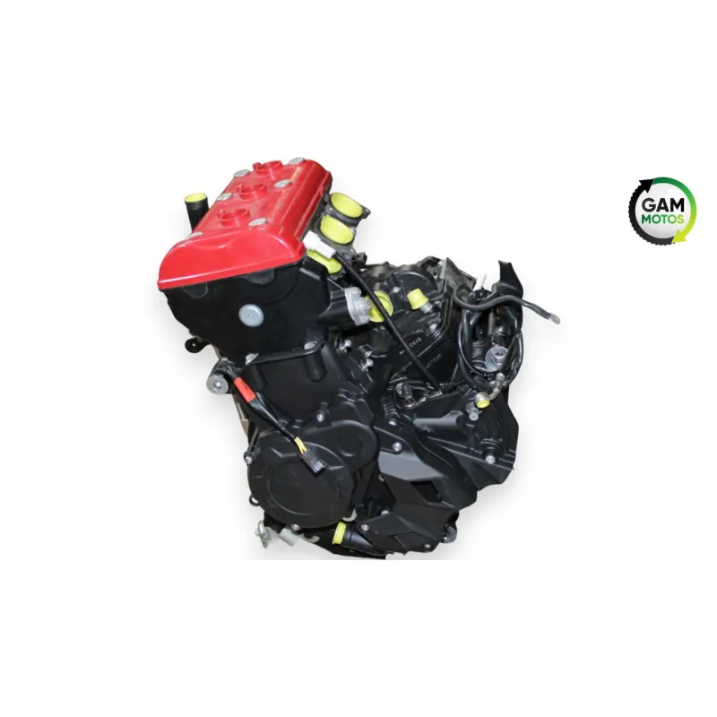 Moteur MV AGUSTA DRAGSTER 800 RR AMERICA 2019 - 2019