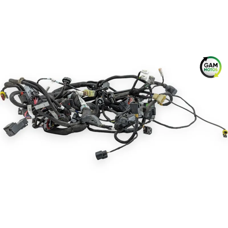 Faisceau electrique MV AGUSTA DRAGSTER 800 RR AMERICA 2019 - 2019