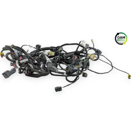 Faisceau electrique MV AGUSTA DRAGSTER 800 RR AMERICA 2019 - 2019