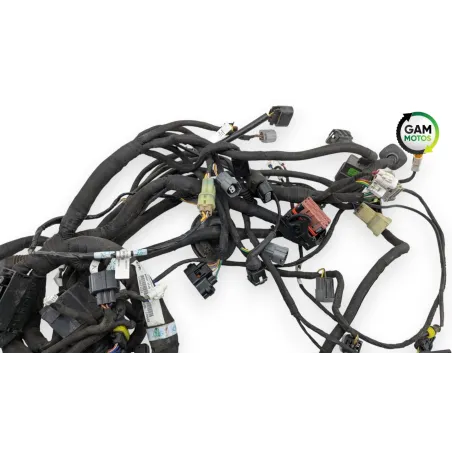 Faisceau electrique MV AGUSTA DRAGSTER 800 RR AMERICA 2019 - 2019