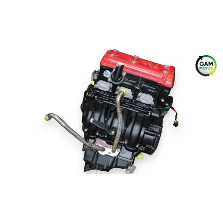 Moteur MV AGUSTA DRAGSTER 800 RR AMERICA 2019 - 2019