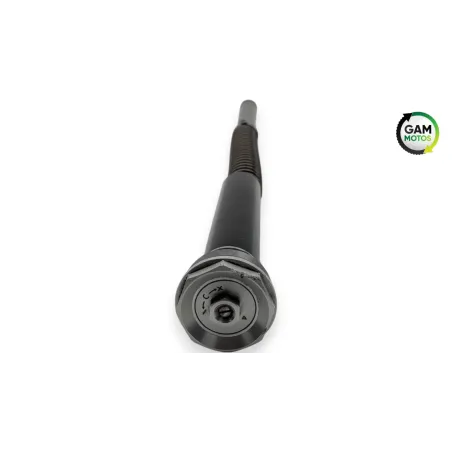 Tube de fourche gauche MV AGUSTA DRAGSTER 800 RR AMERICA 2019 - 2019
