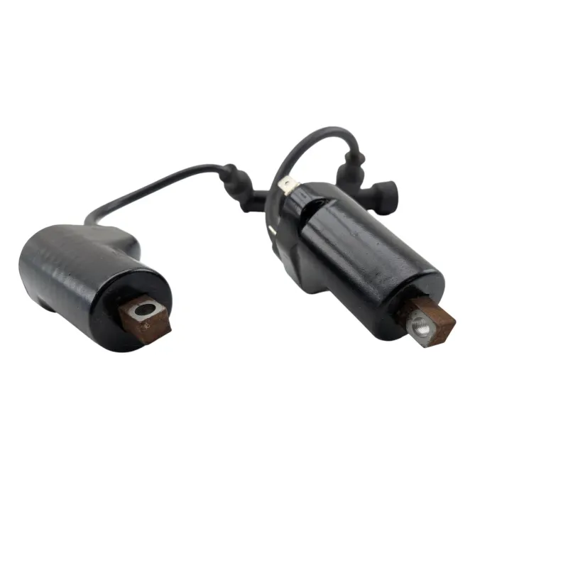 Bobine allumage SUZUKI GS 500 2003 - 2006