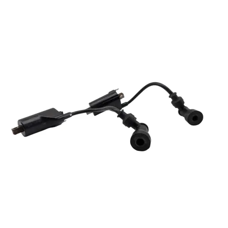 Bobine allumage SUZUKI GS 500 2003 - 2006