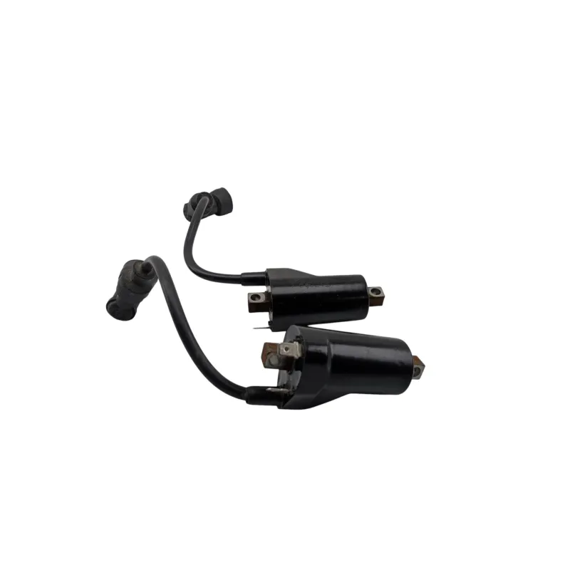 Bobine allumage SUZUKI GS 500 2003 - 2006