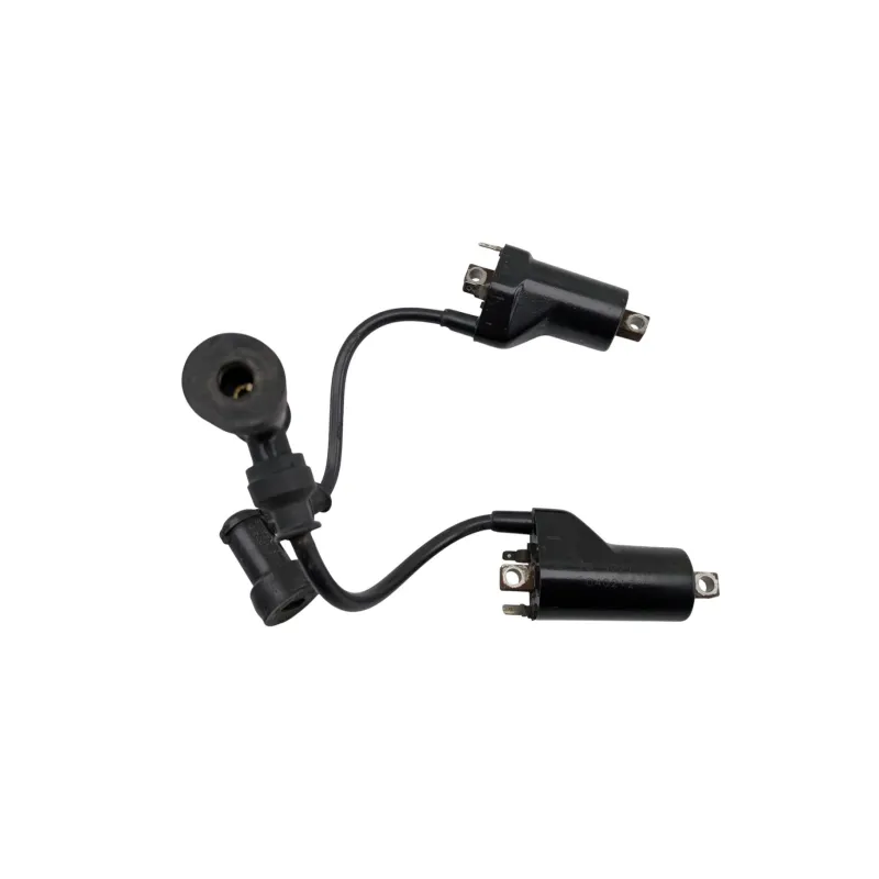 Bobine allumage SUZUKI GS 500 2003 - 2006