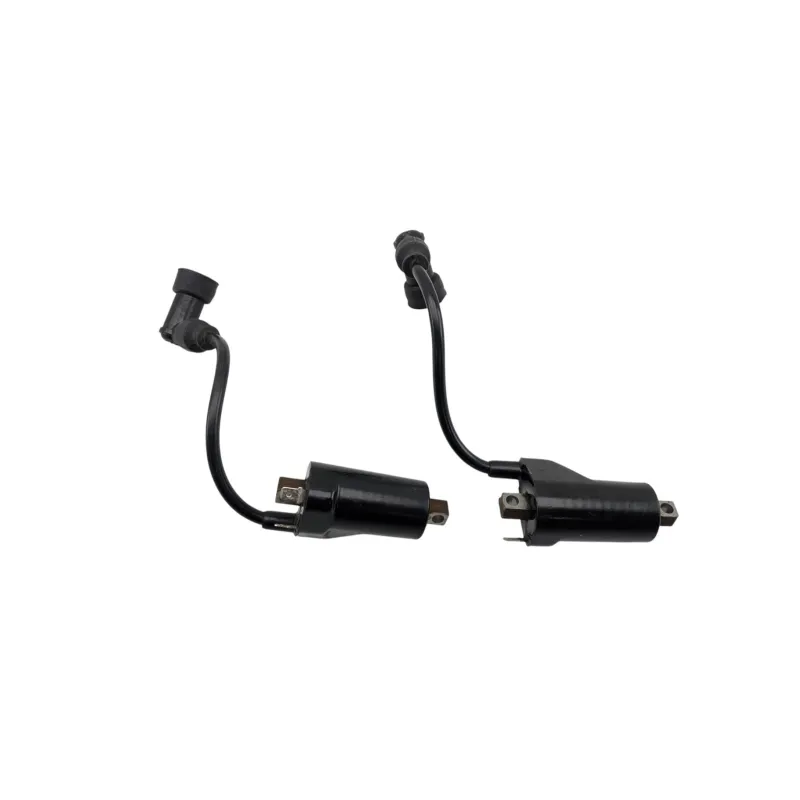 Bobine allumage SUZUKI GSE 500 2001 - 2002