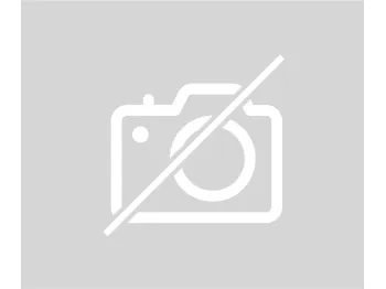 Support arriere INDIAN FTR 1200 2020-2024 CARBON