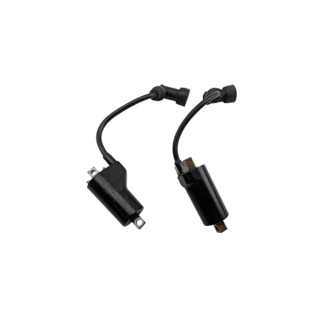 Bobine allumage SUZUKI GS 500 2003 - 2006