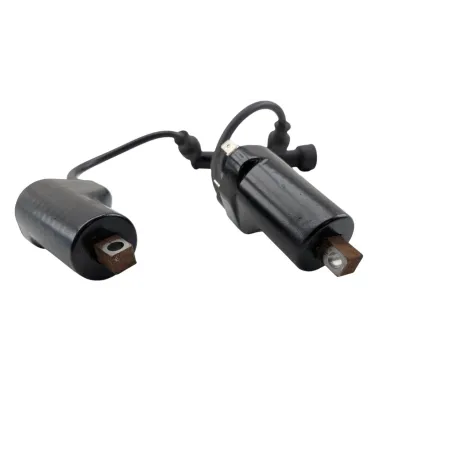 Bobine allumage SUZUKI GS 500 2003 - 2006