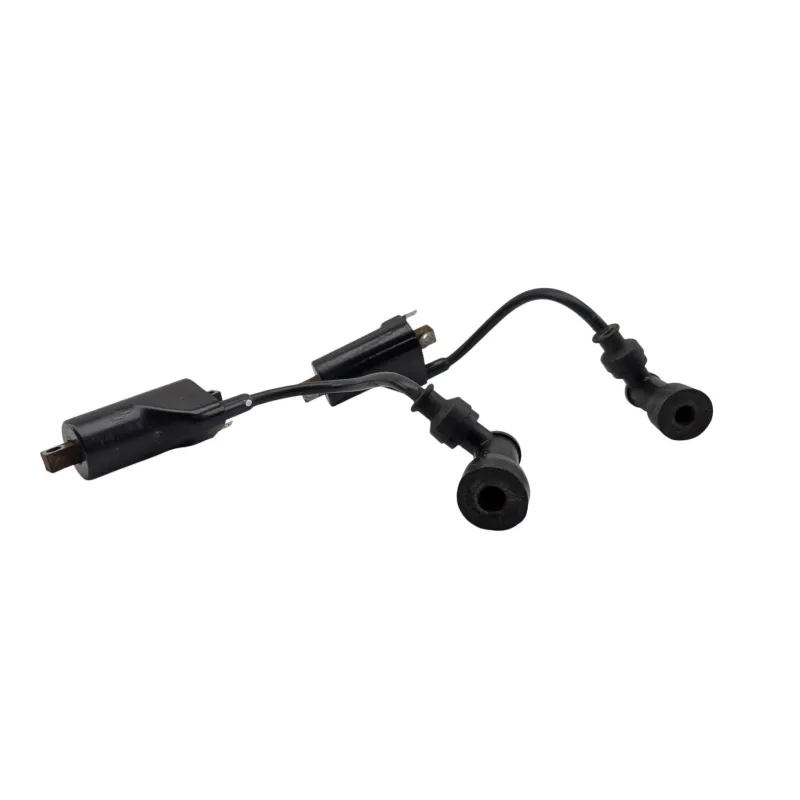 Bobine allumage SUZUKI GS 500 2003 - 2006