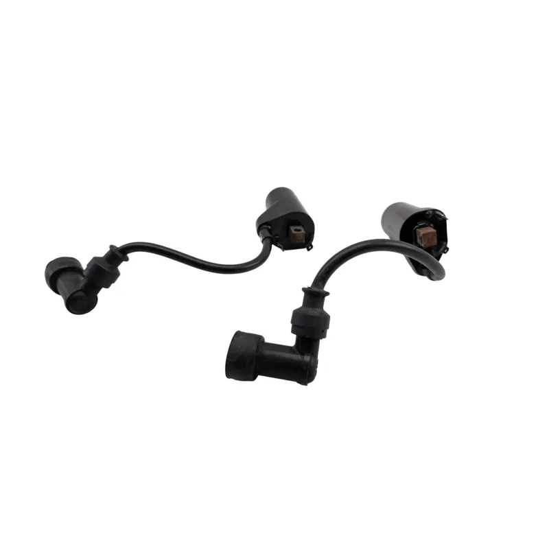 Bobine allumage SUZUKI GS 500 2003 - 2006