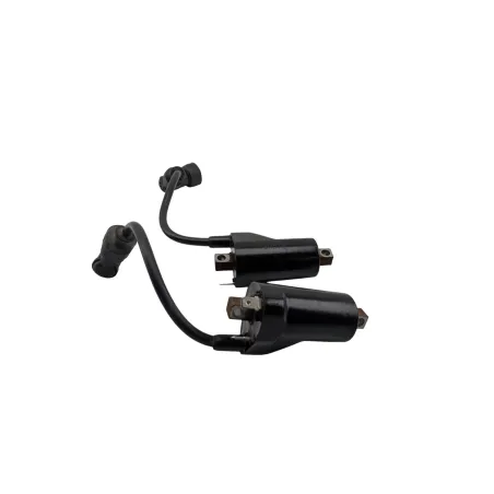 Bobine allumage SUZUKI GS 500 2003 - 2006