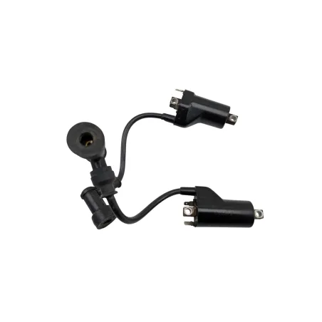 Bobine allumage SUZUKI GS 500 2003 - 2006