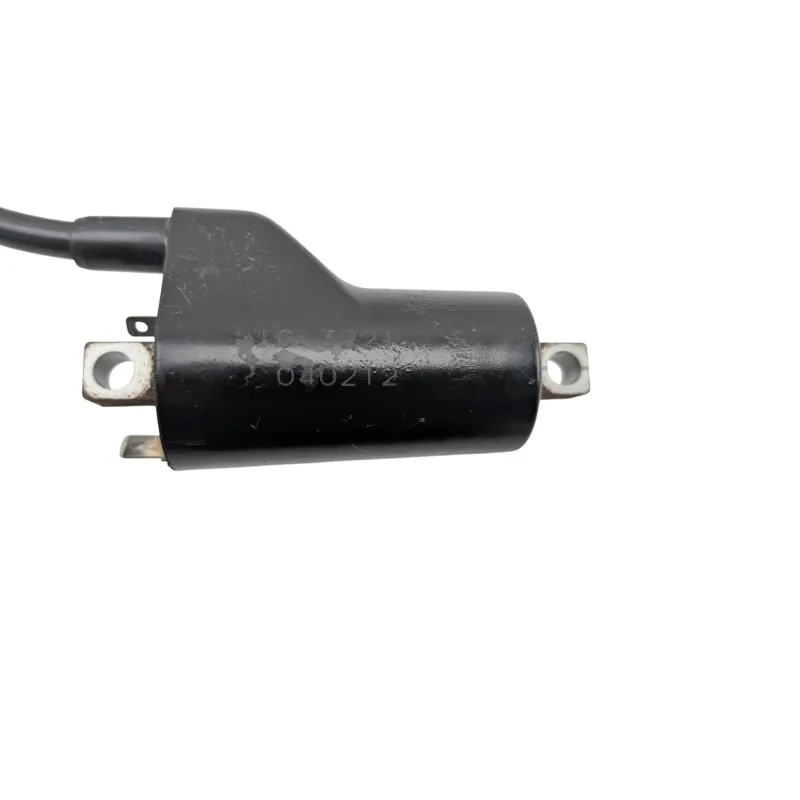 Bobine allumage SUZUKI GS 500 2003 - 2006