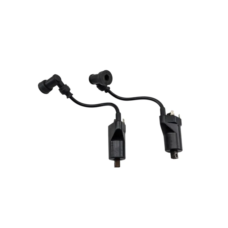 Bobine allumage SUZUKI GSE 500 2001 - 2002