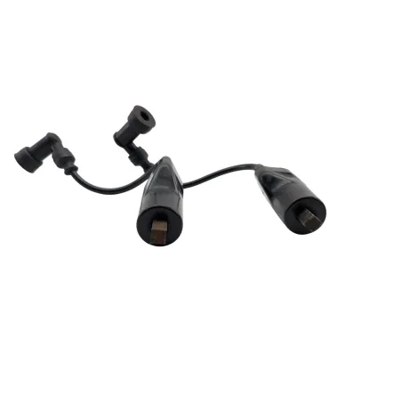 Bobine allumage SUZUKI GSE 500 2001 - 2002