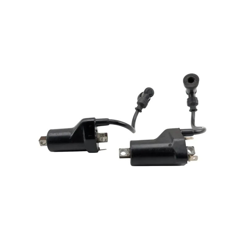 Bobine allumage SUZUKI GSE 500 2001 - 2002