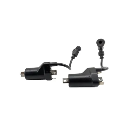 Bobine allumage SUZUKI GSE 500 2001 - 2002